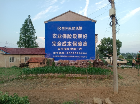 启东墙体广告的优劣势你知道吗？